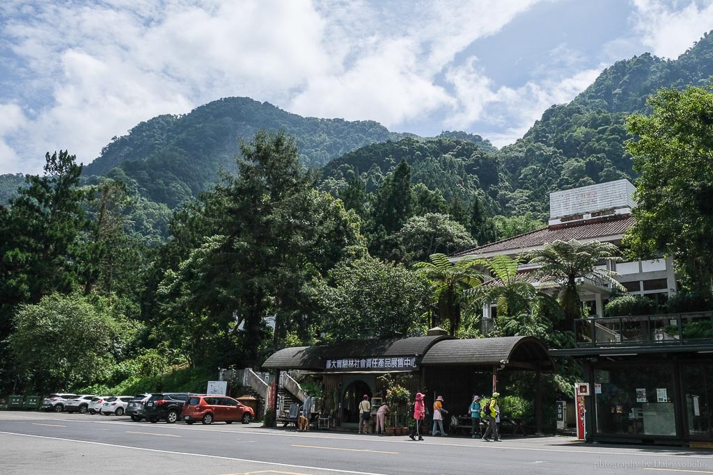 溪頭自然教育園區｜散步到美美的大學池，懶惰的可以搭接駁車。溪頭門票優惠