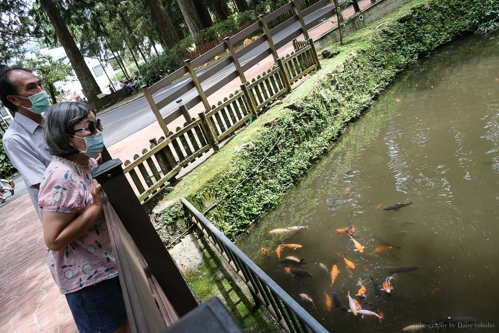 溪頭自然教育園區, 溪頭露營, 溪頭森林遊樂區, 大學池, 溪頭景點, 南投景點, 溪頭門票優惠