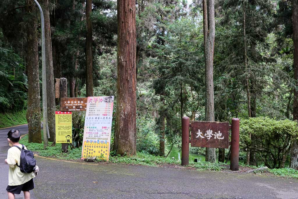 溪頭自然教育園區, 溪頭露營, 溪頭森林遊樂區, 大學池, 溪頭景點, 南投景點, 溪頭門票優惠