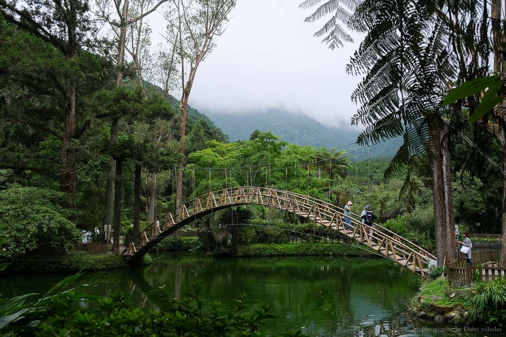 溪頭自然教育園區, 溪頭露營, 溪頭森林遊樂區, 大學池, 溪頭景點, 南投景點, 溪頭門票優惠