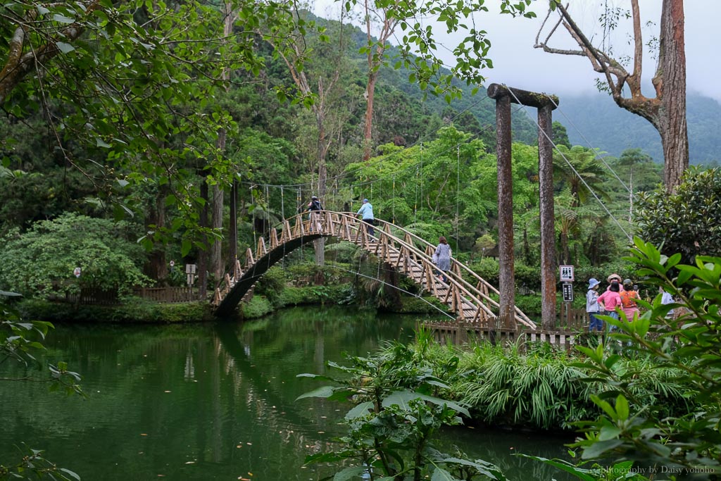 溪頭自然教育園區, 溪頭露營, 溪頭森林遊樂區, 大學池, 溪頭景點, 南投景點, 溪頭門票優惠