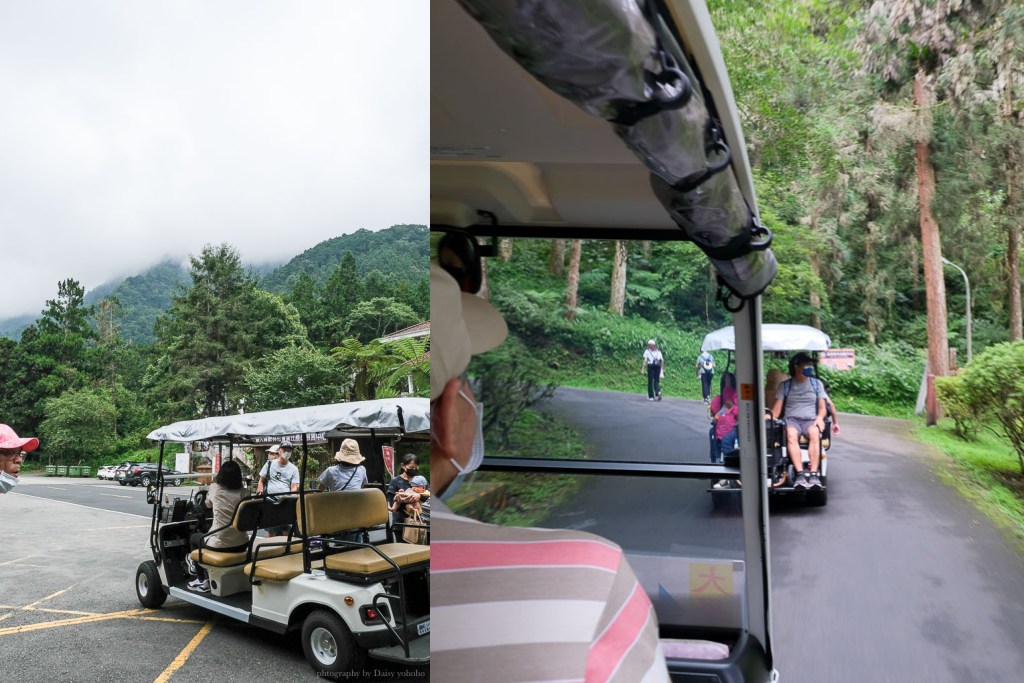 溪頭自然教育園區, 溪頭露營, 溪頭森林遊樂區, 大學池, 溪頭景點, 南投景點, 溪頭門票優惠