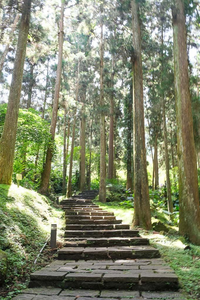 溪頭自然教育園區, 溪頭露營, 溪頭森林遊樂區, 大學池, 溪頭景點, 南投景點, 溪頭門票優惠