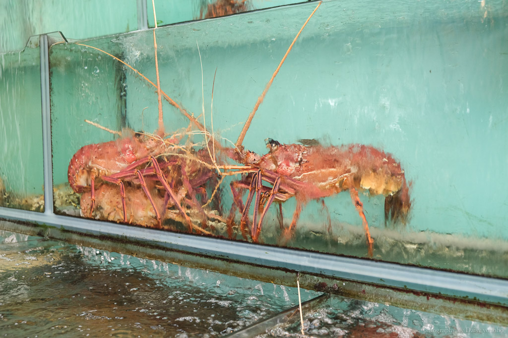 阿興生魚片, 墾丁美食, 後壁湖美食, 墾丁生魚片, 墾丁海產店, 墾丁海鮮餐廳, 後壁湖漁港海產店