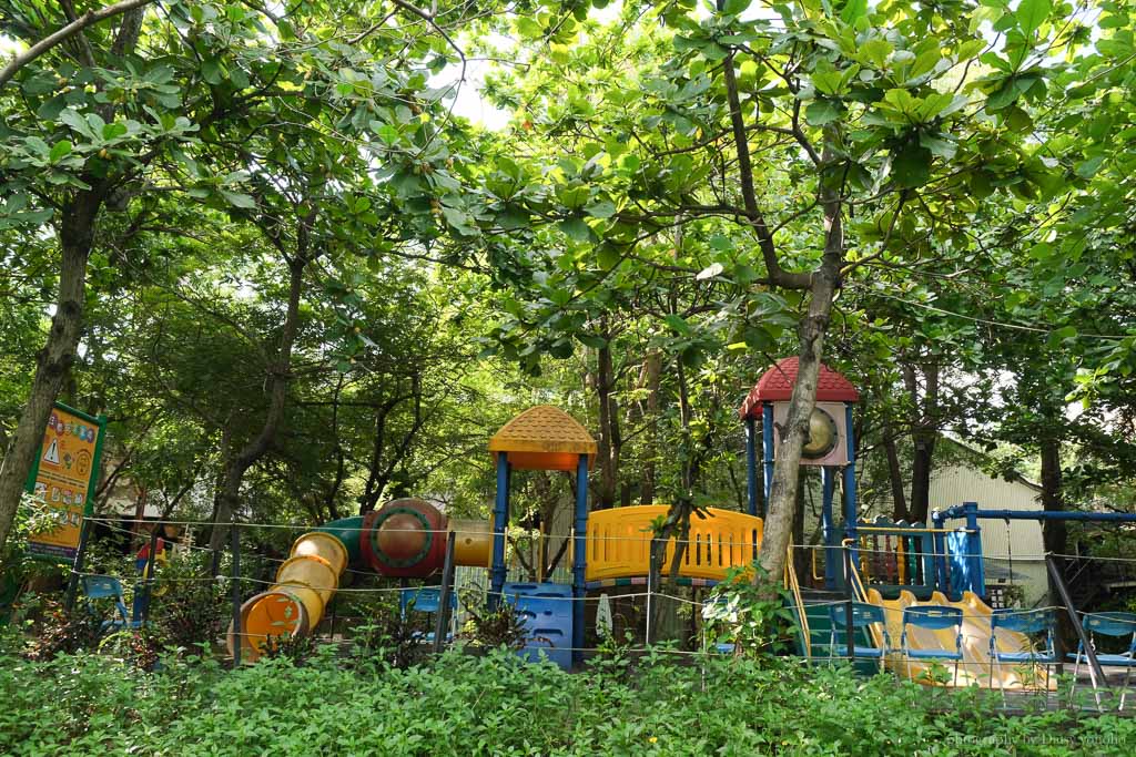 台南仁德｜十鼓仁糖文創園區，兒童遊樂區，戶外放風小孩地，台南親子景點