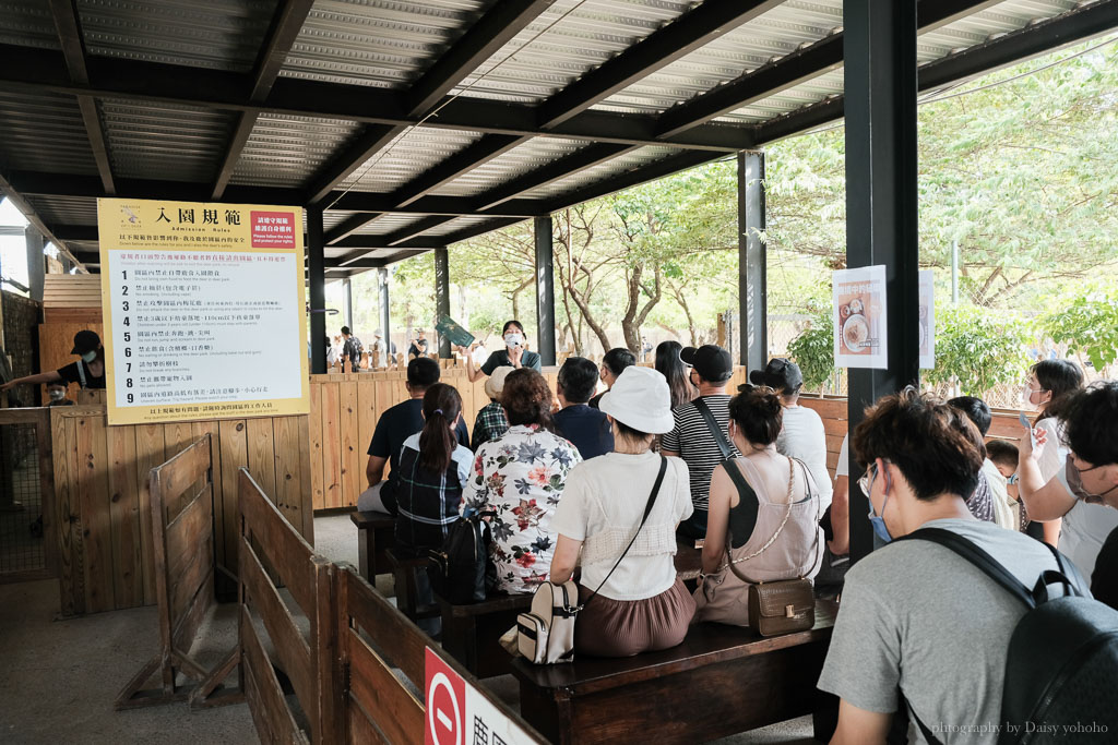 鹿境梅花鹿生態園區｜到墾丁恆春與水豚君、梅花鹿親密接觸！可愛又可怕啊～