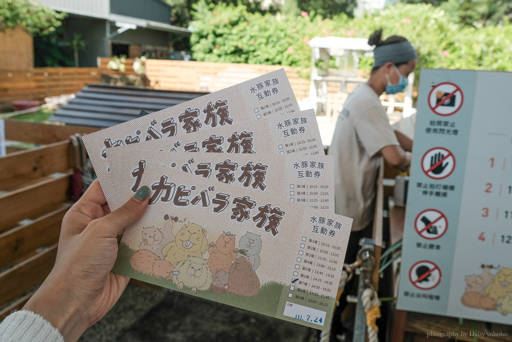 鹿境梅花鹿生態園區, 鹿境門票, 墾丁梅花鹿, 墾丁水豚君, 墾丁鹿境, 墾丁景點, 恆春景點