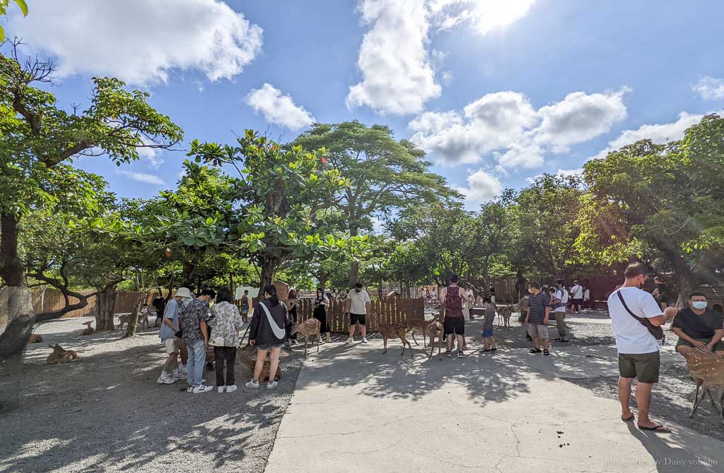 鹿境梅花鹿生態園區, 鹿境門票, 墾丁梅花鹿, 墾丁水豚君, 墾丁鹿境, 墾丁景點, 恆春景點