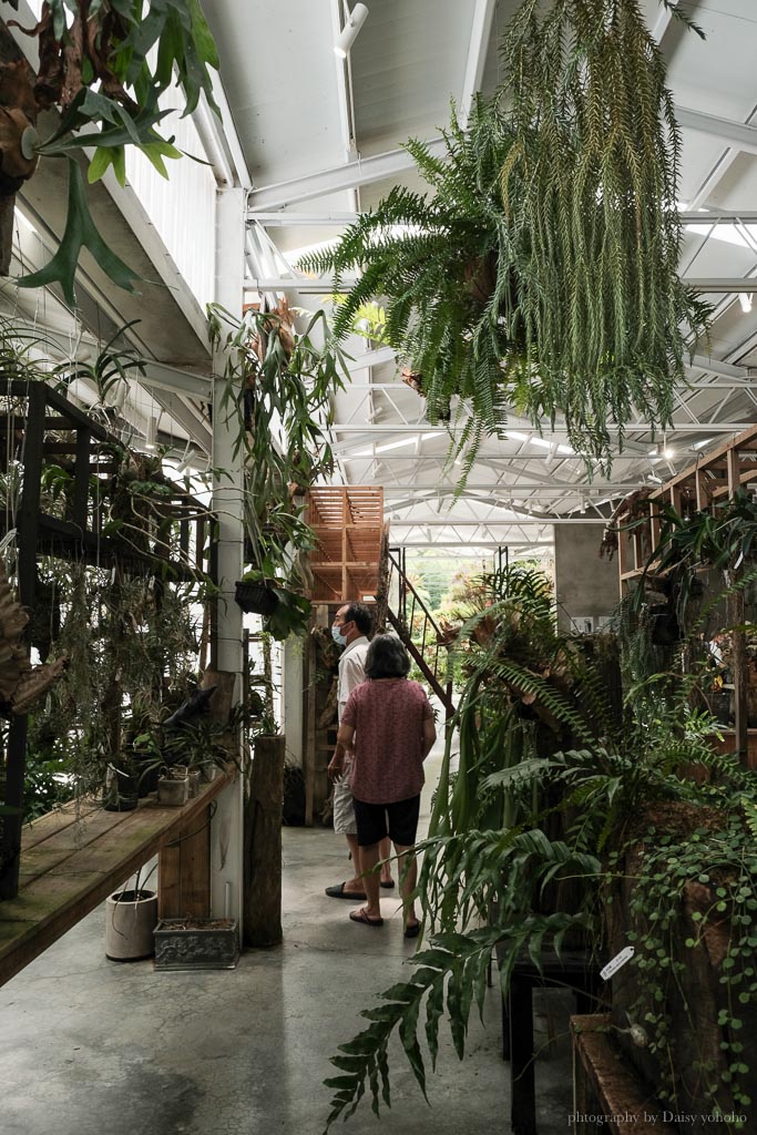 嘉義梅山景點·空氣圖書館｜植物系文青咖啡館、太平雲梯旁美食、鍋物、下午茶