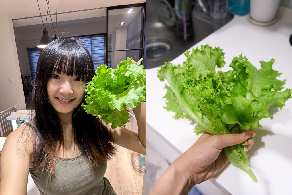 Lalagoon喇喇棍水耕機, 在家種菜, 種菜女神, 魚菜共生, 種菜機