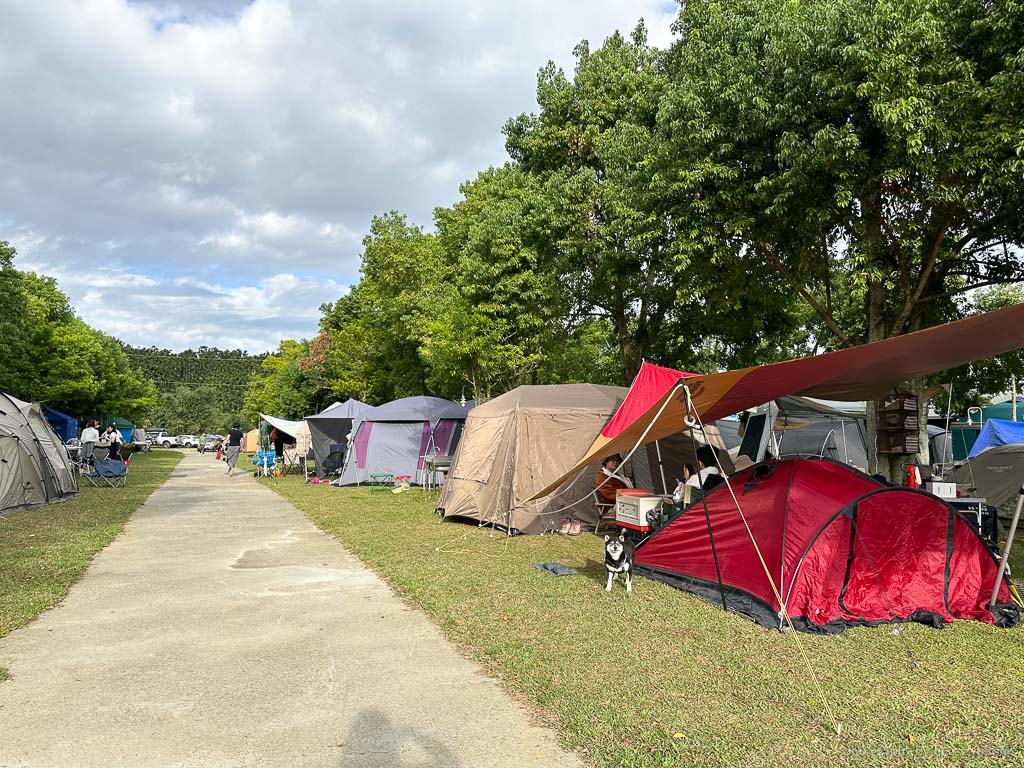 南投【九份二山連興露營區】雲海堆疊滿山谷，日出雲隙光灑落金黃在雲朵上