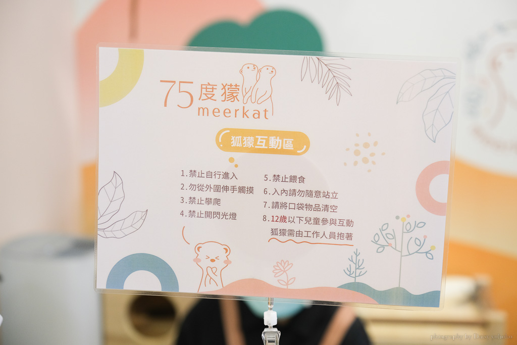 與超萌狐獴的親密接觸！台北松山區Meerkat75 Café–75度獴主題餐廳雙人下午茶