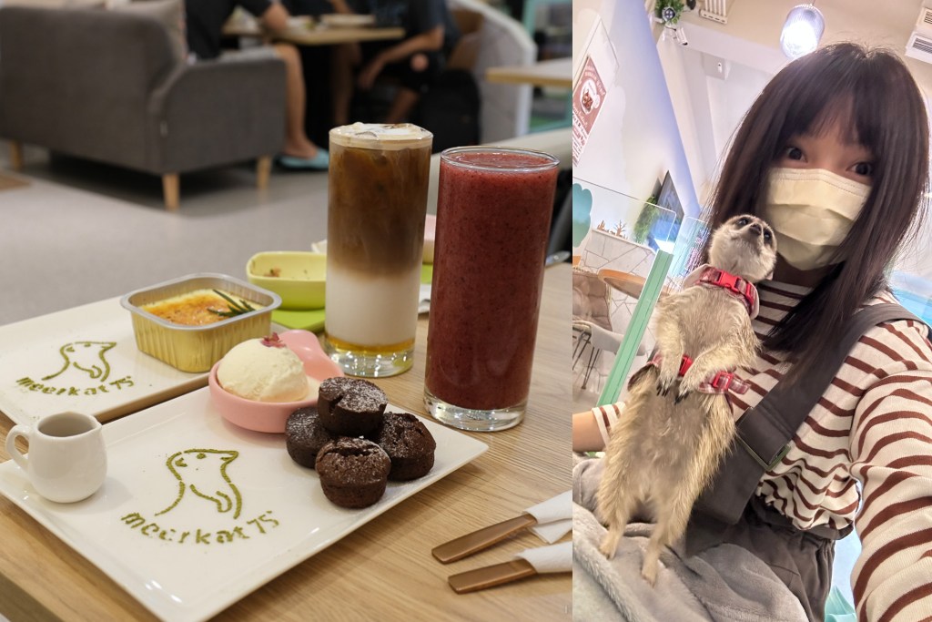 Meerkat75 Café - 75度獴｜狐獴的親密接觸, 狐獴下午茶, 狐獴餐廳, 小巨蛋美食, 療癒系餐廳