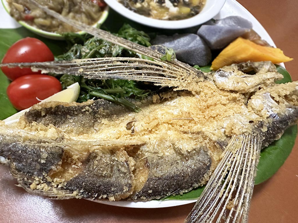 蘭嶼隱藏版飛魚美食》老椰食堂達悟族風味餐，椰油部落在地食材蘭嶼原住民美食