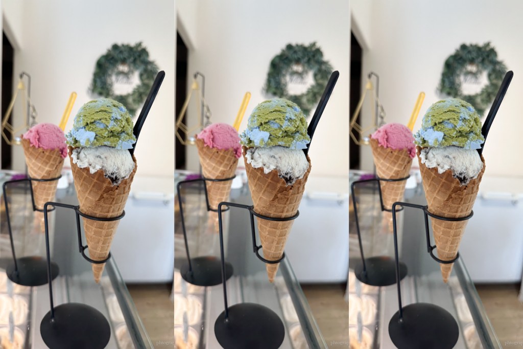 嘉義民雄冰淇淋「尋光小徑義式冰淇淋 Gelato」猜猜”環保地球”會是什麼口味？
