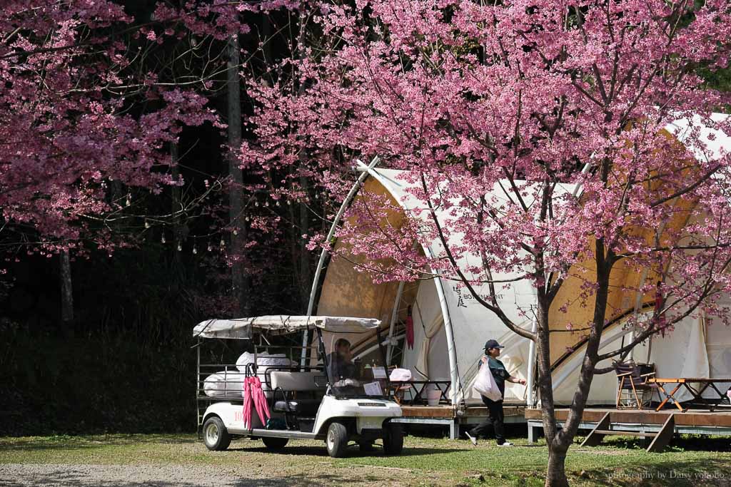 蟬說：霧繞一泊二食｜櫻花季綻放粉紅圍繞、雲海相依的豪華帳篷、露營車體驗！
