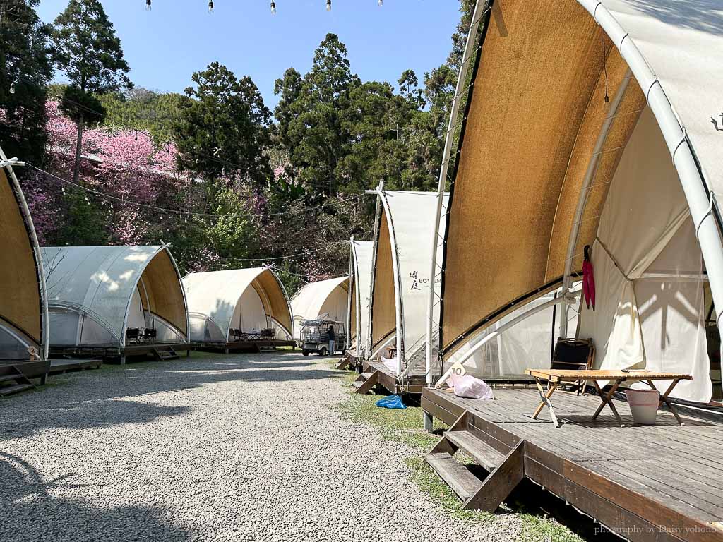 蟬說：霧繞一泊二食｜富士櫻圍繞、雲海相依的豪華帳篷、露營車體驗！