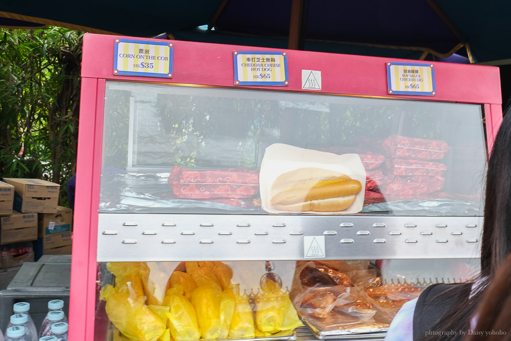 香港迪士尼餐廳美食攻略｜魔雪奇緣餐廳吃羊膝，用優惠券吃很划算，還送爆米花或冰淇淋！