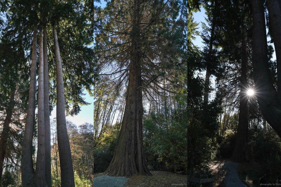 紐西蘭, 皇后鎮景點, 奇異鳥鳥類生態公園, Kiwi Birdlife Park Queenstown, 奇異鳥公園