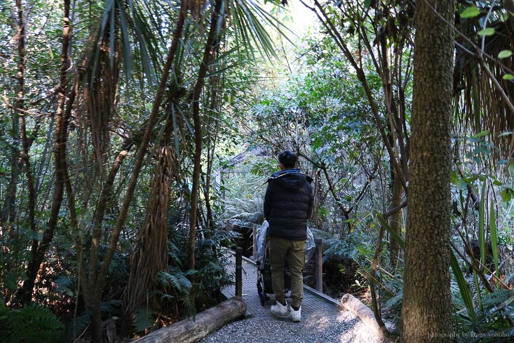 紐西蘭, 皇后鎮景點, 奇異鳥鳥類生態公園, Kiwi Birdlife Park Queenstown, 奇異鳥公園