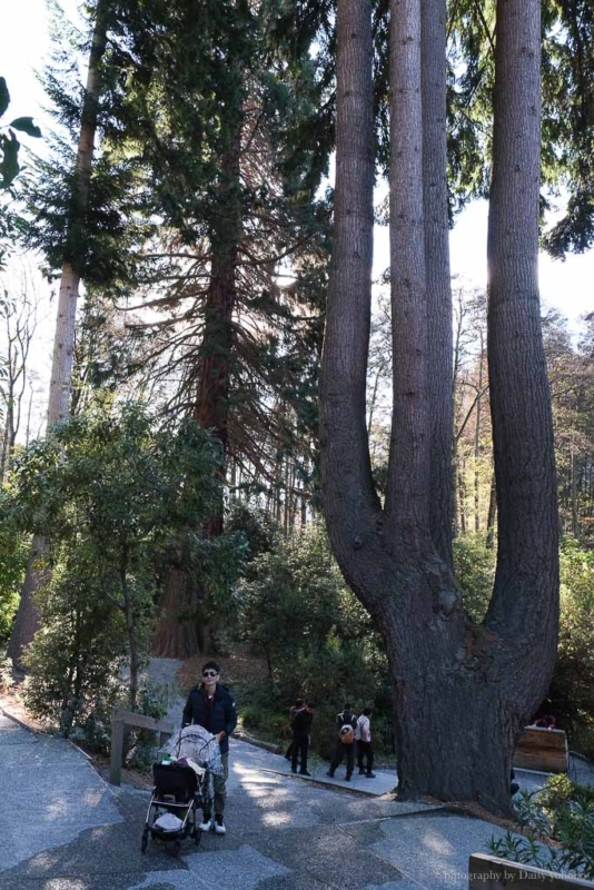 紐西蘭, 皇后鎮景點, 奇異鳥鳥類生態公園, Kiwi Birdlife Park Queenstown, 奇異鳥公園