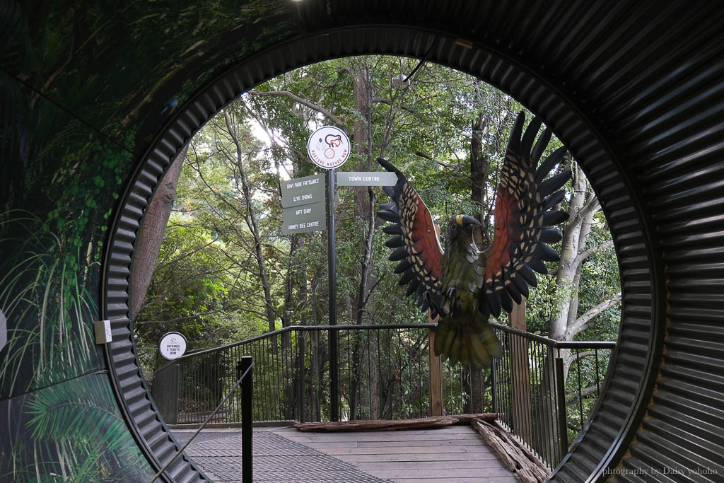 紐西蘭, 皇后鎮景點, 奇異鳥鳥類生態公園, Kiwi Birdlife Park Queenstown, 奇異鳥公園