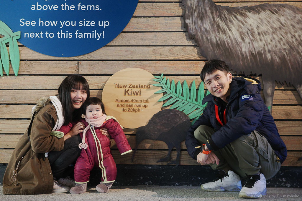 紐西蘭, 皇后鎮景點, 奇異鳥鳥類生態公園, Kiwi Birdlife Park Queenstown, 奇異鳥公園