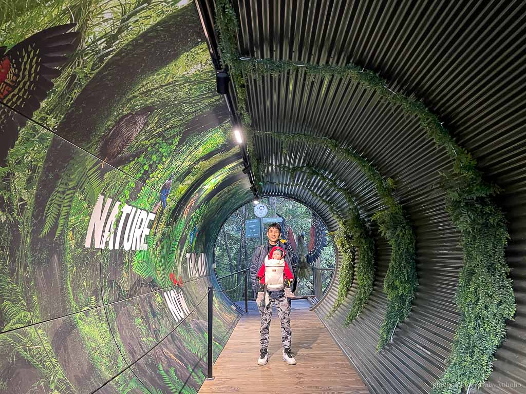 紐西蘭, 皇后鎮景點, 奇異鳥鳥類生態公園, Kiwi Birdlife Park Queenstown, 奇異鳥公園