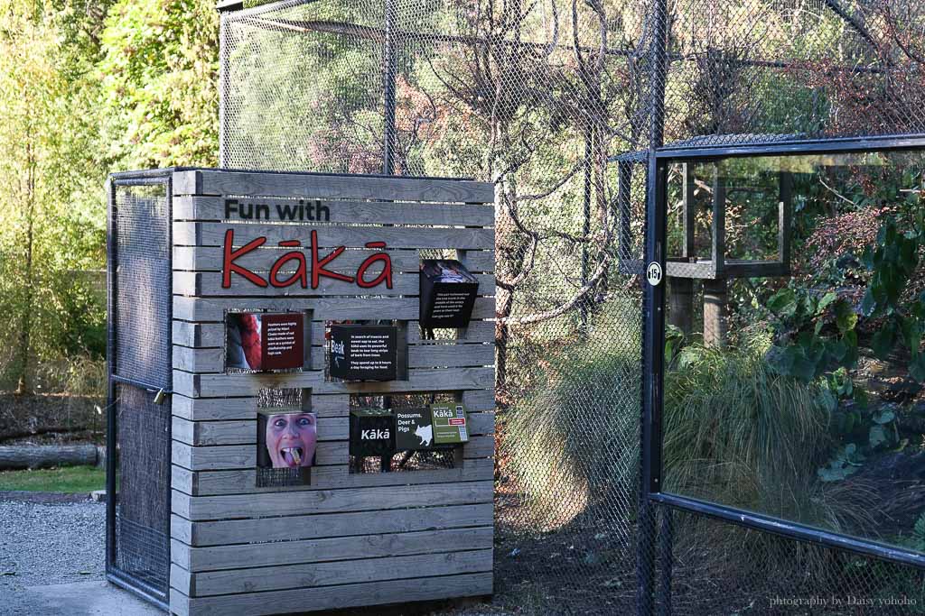 紐西蘭, 皇后鎮景點, 奇異鳥鳥類生態公園, Kiwi Birdlife Park Queenstown, 奇異鳥公園