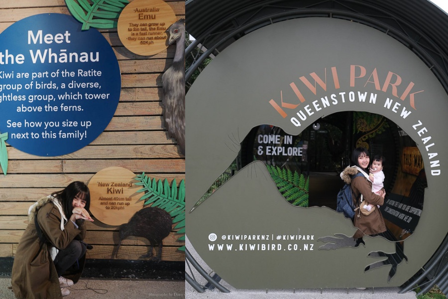 紐西蘭, 皇后鎮景點, 奇異鳥鳥類生態公園, Kiwi Birdlife Park Queenstown, 奇異鳥公園