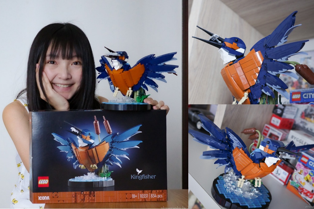樂高翠鳥, LEGO翠鳥10331