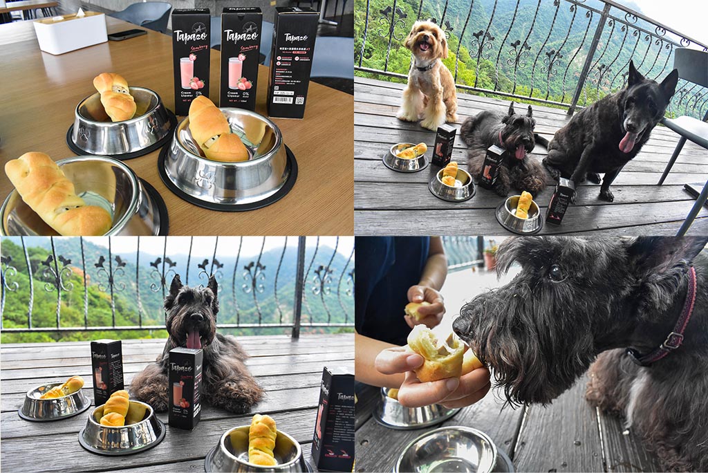 蟬說：山中靜靜 一泊二食｜台中太平酒桶山寵物友善豪華露營，萬聖節來山中搗蛋！