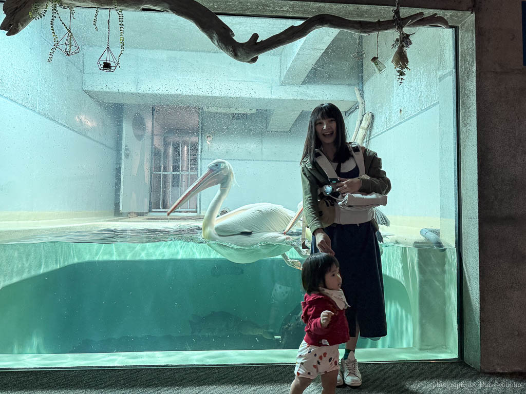 九州大分縣親子5天4夜自由行｜由布院、別府溫泉、九州自然動物園、三麗鷗樂園、豆田町