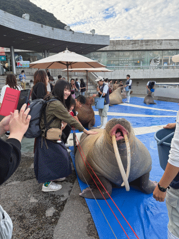 九州大分縣親子5天4夜自由行｜由布院、別府溫泉、九州自然動物園、三麗鷗樂園、豆田町