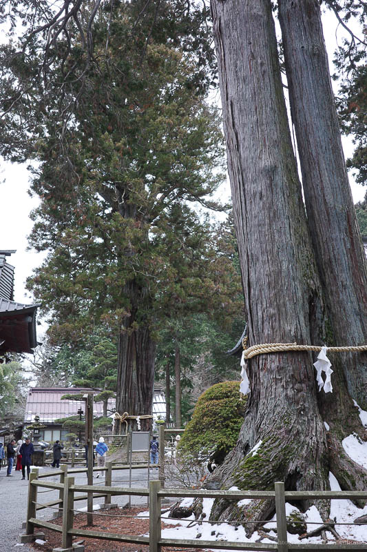 富士山一日遊｜淺間神社