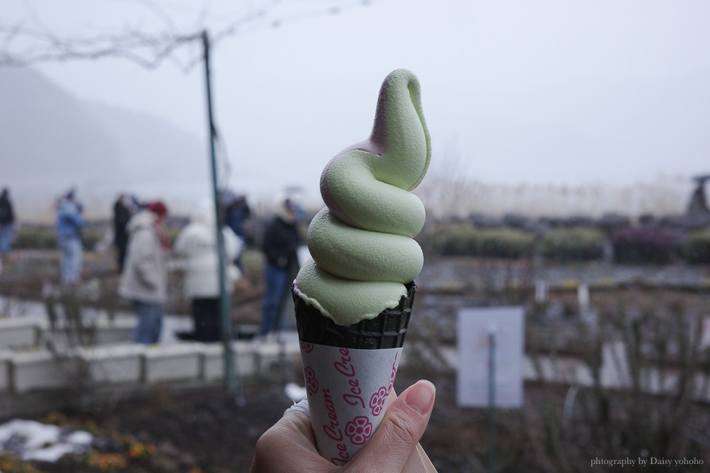 富士山一日遊大石公園，巨峰葡萄冰淇淋好好吃