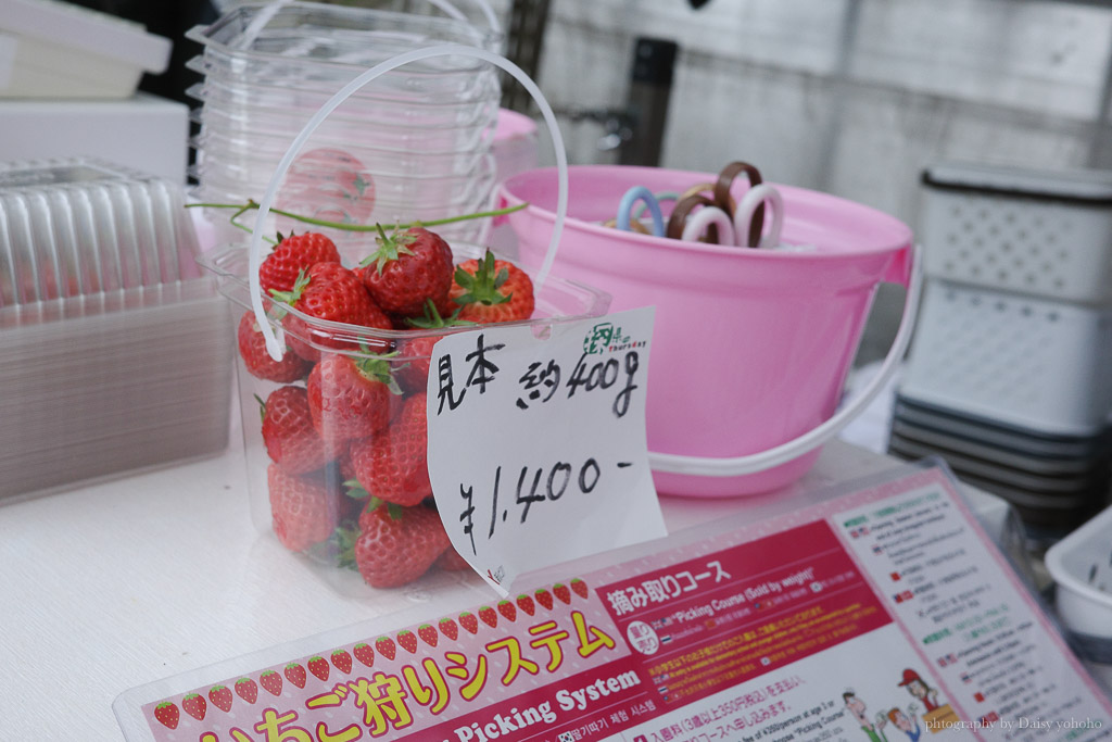 湯澤採草莓「雪國農園湯澤草莓村」新潟親子行程，30分鐘草莓吃到飽