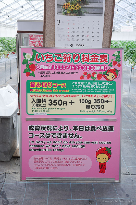 湯澤採草莓「雪國農園湯澤草莓村」新潟親子行程，30分鐘草莓吃到飽