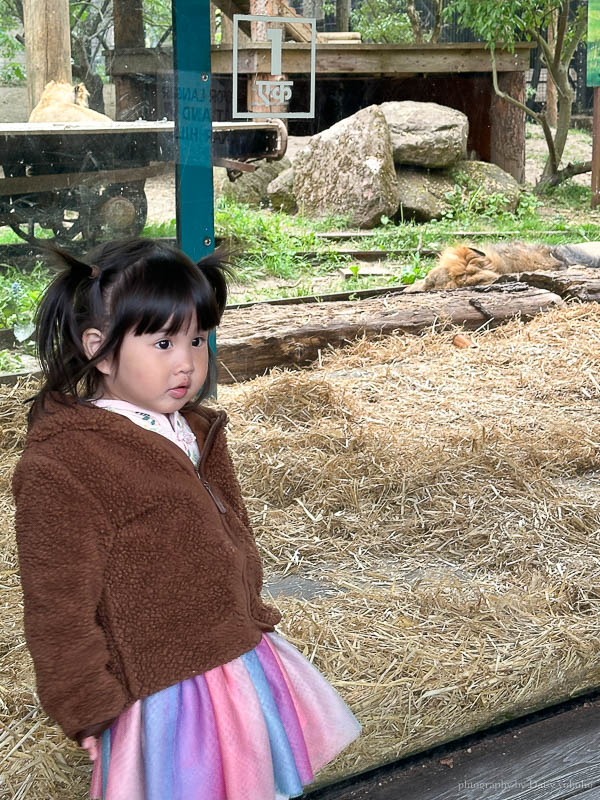 倫敦動物園, London Zoo, Go City London Pass 景點, 英國動物園
