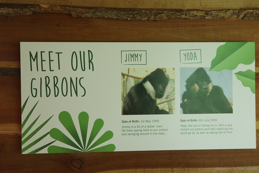倫敦動物園, London Zoo, Go City London Pass 景點, 英國動物園