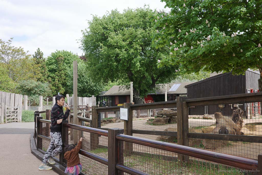 倫敦動物園, London Zoo, Go City London Pass 景點, 英國動物園