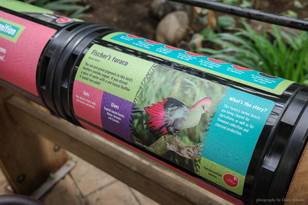 倫敦動物園, London Zoo, Go City London Pass 景點, 英國動物園