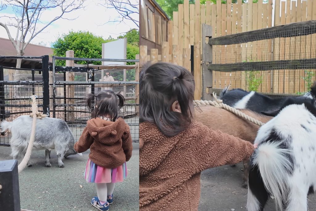 倫敦動物園, London Zoo, Go City London Pass 景點, 英國動物園