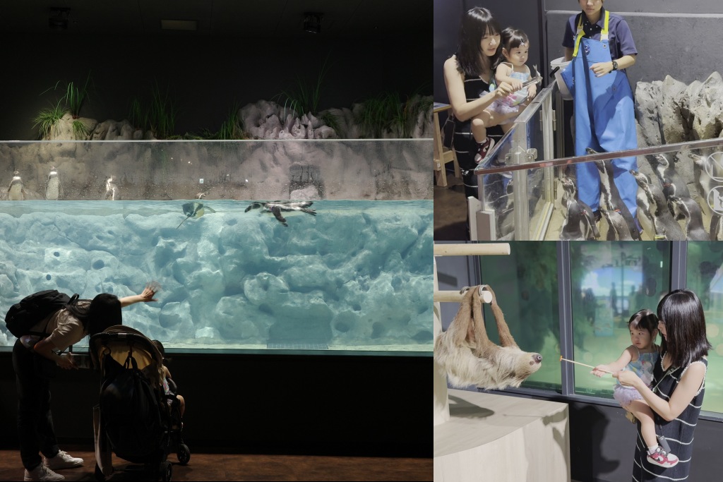 沖繩DMM水族館