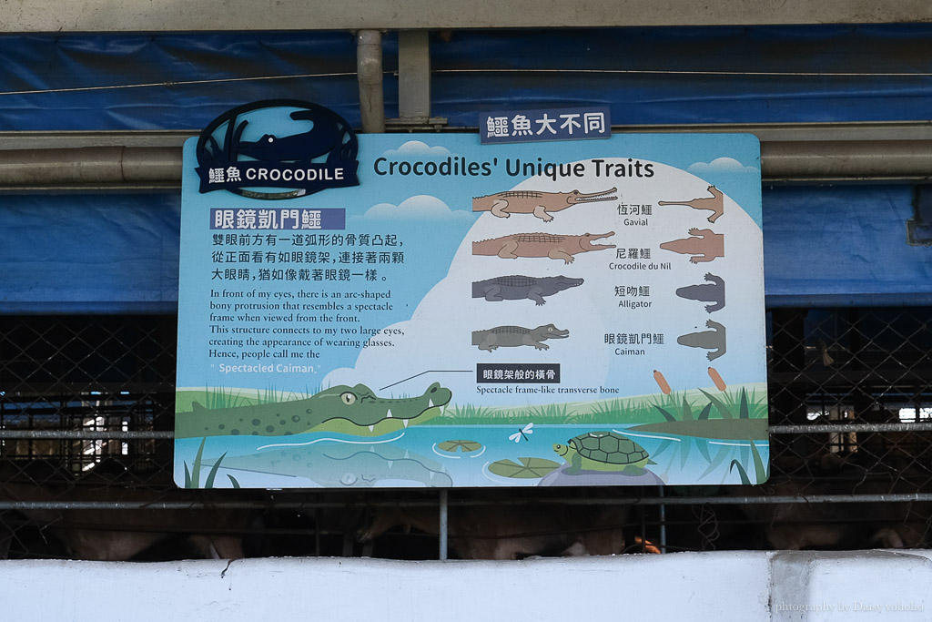 高雄「水流莊牧場」神探水流莊-羊奶失竊案，親子實境解謎！