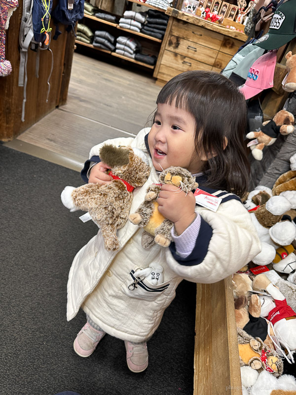 瑞士少女峰區 格林得瓦 Grindelwald