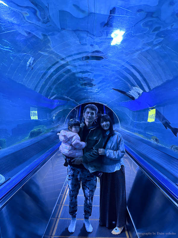 花蓮遠雄海洋公園露營車｜藍鯨艙海景露營車，海洋夜未眠升級版