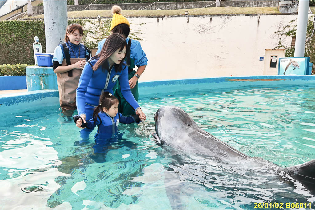 花蓮遠雄海洋公園露營車｜藍鯨艙海景露營車，海洋夜未眠升級版