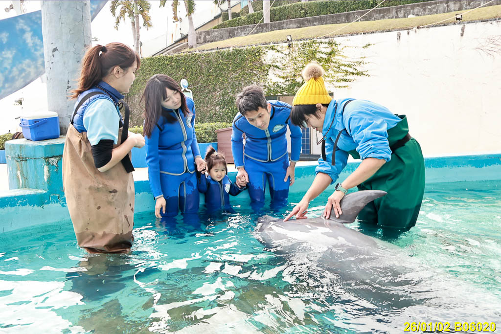 花蓮遠雄海洋公園露營車｜藍鯨艙海景露營車，海洋夜未眠升級版