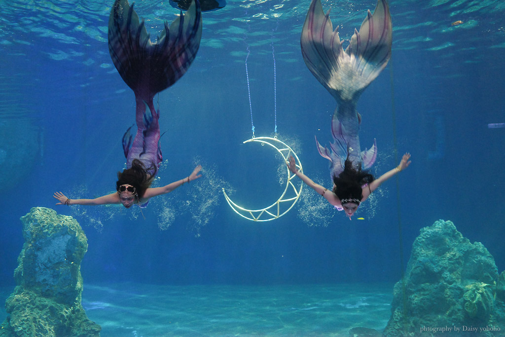 花蓮遠雄海洋公園露營車｜藍鯨艙海景露營車，海洋夜未眠升級版